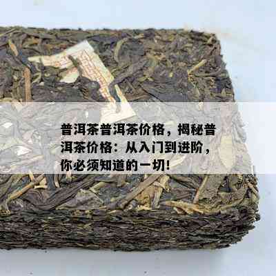 普洱茶普洱茶价格，揭秘普洱茶价格：从入门到进阶，你必须知道的一切！