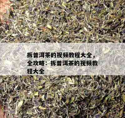 拆普洱茶的视频教程大全，全攻略：拆普洱茶的视频教程大全