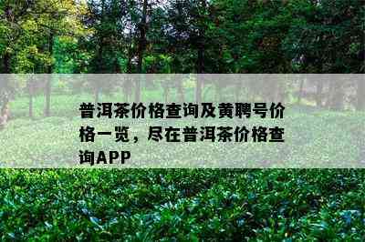 普洱茶价格查询及黄聘号价格一览，尽在普洱茶价格查询APP