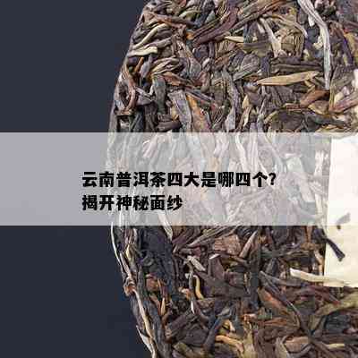 云南普洱茶四大是哪四个？揭开神秘面纱