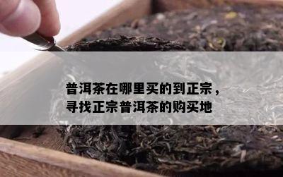 普洱茶在哪里买的到正宗，寻找正宗普洱茶的购买地