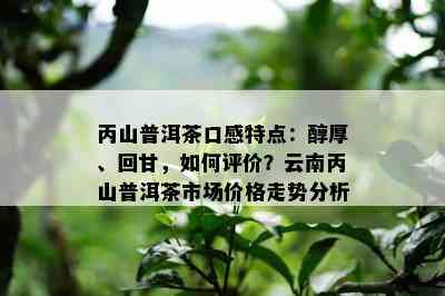 丙山普洱茶口感特点：醇厚、回甘，如何评价？云南丙山普洱茶市场价格走势分析