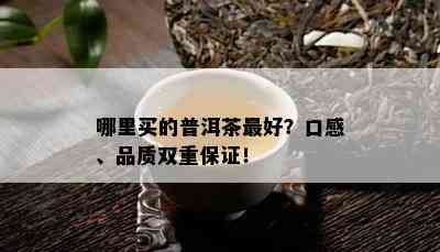 哪里买的普洱茶更好？口感、品质双重保证！