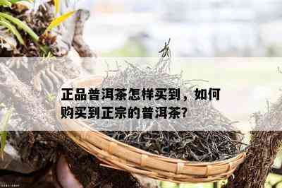 正品普洱茶怎样买到，怎样购买到正宗的普洱茶？