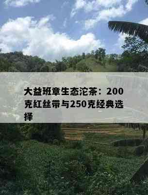 大益班章生态沱茶：200克红丝带与250克经典选择