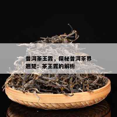 普洱茶王霞，探秘普洱茶界翘楚：茶王霞的解析