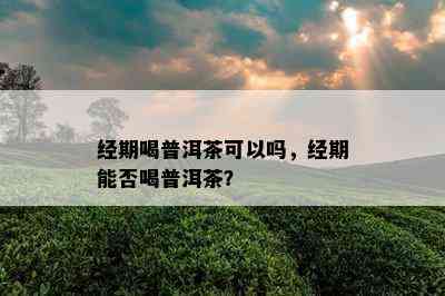 经期喝普洱茶可以吗，经期能否喝普洱茶？