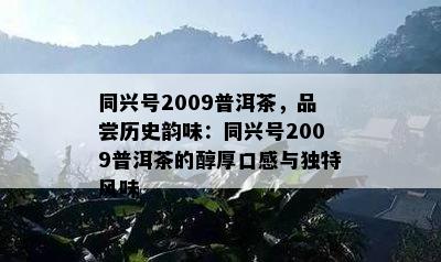 同兴号2009普洱茶，品尝历史韵味：同兴号2009普洱茶的醇厚口感与特别风味