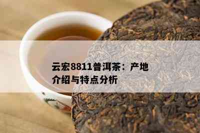 云宏8811普洱茶：产地介绍与特点分析