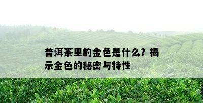 普洱茶里的金色是什么？揭示金色的秘密与特性