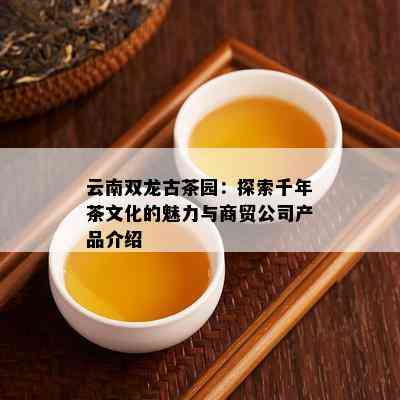 云南双龙古茶园：探索千年茶文化的魅力与商贸公司产品介绍