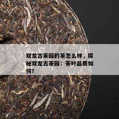 双龙古茶园的茶怎么样，探秘双龙古茶园：茶叶品质怎样？