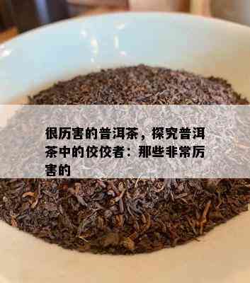 很历害的普洱茶，探究普洱茶中的佼佼者：那些非常厉害的