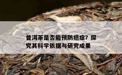 普洱茶是不是能预防癌症？探究其科学依据与研究成果