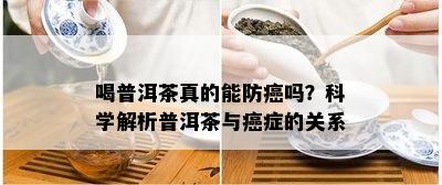 喝普洱茶真的能防癌吗？科学解析普洱茶与癌症的关系