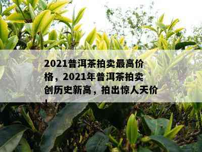 2021普洱茶拍卖更高价格，2021年普洱茶拍卖创历史新高，拍出惊人天价！