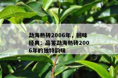 勐海熟砖2006年，回味经典：品鉴勐海熟砖2006年的特别韵味