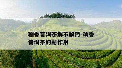 糯香普洱茶解不解-糯香普洱茶的副作用