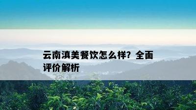 云南滇美餐饮怎么样？全面评价解析