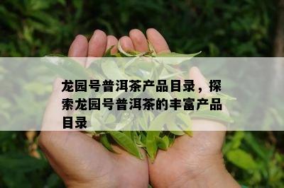 龙园号普洱茶产品目录，探索龙园号普洱茶的丰富产品目录