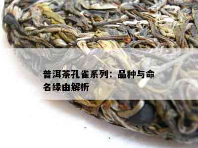 普洱茶孔雀系列：品种与命名缘由解析