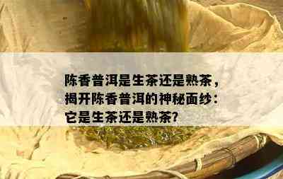 陈香普洱是生茶还是熟茶，揭开陈香普洱的神秘面纱：它是生茶还是熟茶？