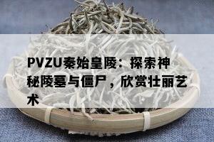 PVZU秦始皇陵：探索神秘陵墓与僵尸，欣赏壮丽艺术