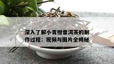 深入了解小青柑普洱茶的制作过程：视频与图片全揭秘