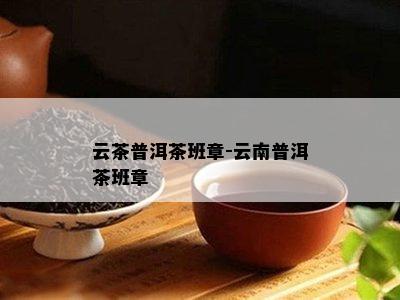 云茶普洱茶班章-云南普洱茶班章