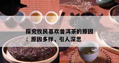 探究牧民喜欢普洱茶的原因：原因多样，引人深思