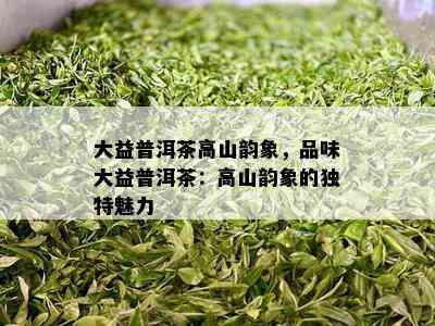 大益普洱茶高山韵象，品味大益普洱茶：高山韵象的特别魅力