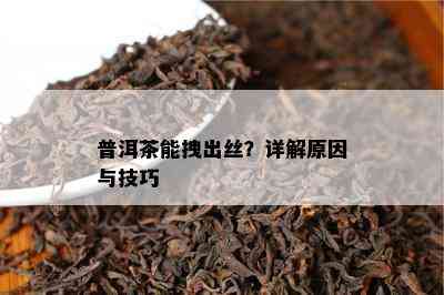 普洱茶能拽出丝？详解原因与技巧