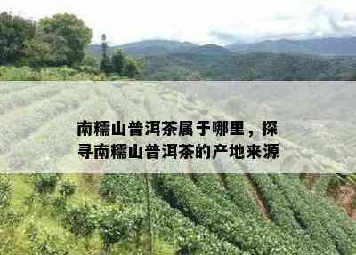 南糯山普洱茶属于哪里，探寻南糯山普洱茶的产地来源