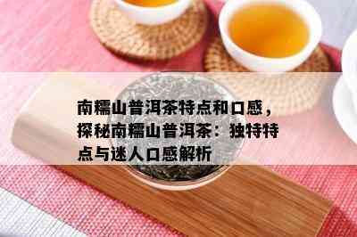 南糯山普洱茶特点和口感，探秘南糯山普洱茶：独特特点与迷人口感解析