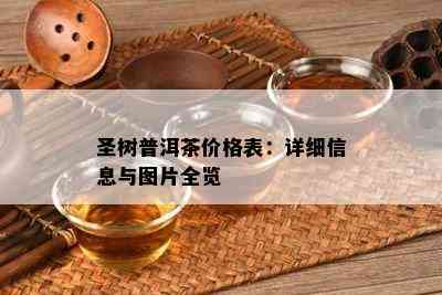 圣树普洱茶价格表：详细信息与图片全览