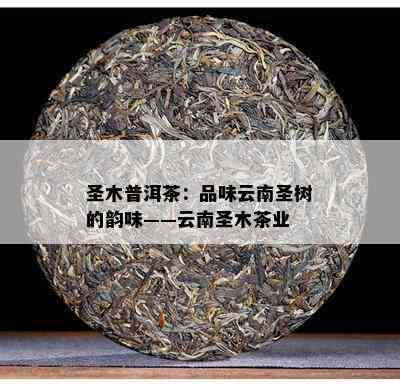 圣木普洱茶：品味云南圣树的韵味——云南圣木茶业