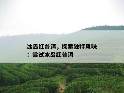 冰岛红普洱，探索特别风味：尝试冰岛红普洱