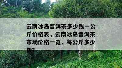 云南冰岛普洱茶多少钱一公斤价格表，云南冰岛普洱茶市场价格一览，每公斤多少钱？