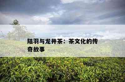 陆羽与龙井茶：茶文化的传奇故事