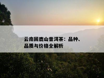 云南困鹿山普洱茶：品种、品质与价格全解析