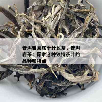 普洱岩茶属于什么茶，普洱岩茶：探索这种独特茶叶的品种和特点