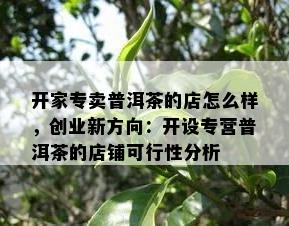 开家专卖普洱茶的店怎么样，创业新方向：开设专营普洱茶的店铺可行性分析