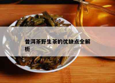 普洱茶野生茶的优缺点全解析