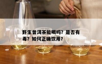 野生普洱茶能喝吗？是不是有？怎样正确饮用？