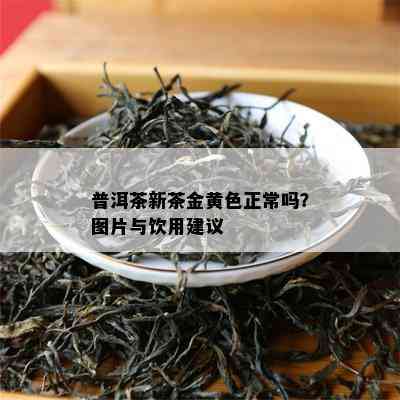 普洱茶新茶金黄色正常吗？图片与饮用建议