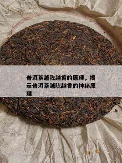 普洱茶越陈越香的原理，揭示普洱茶越陈越香的神秘原理