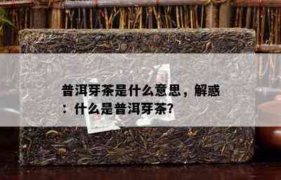 普洱芽茶是什么意思，解惑：什么是普洱芽茶？