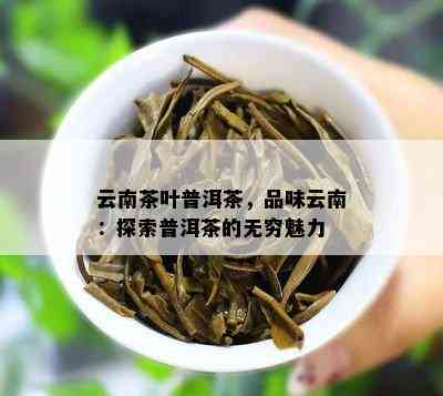 云南茶叶普洱茶，品味云南：探索普洱茶的无穷魅力