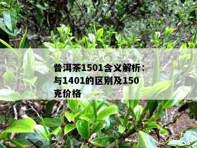 普洱茶1501含义解析：与1401的区别及150克价格