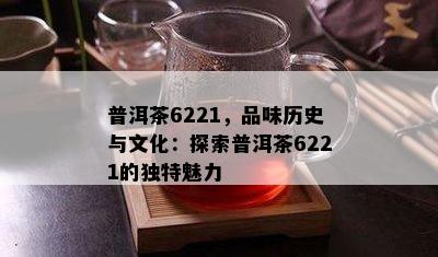 普洱茶6221，品味历史与文化：探索普洱茶6221的特别魅力